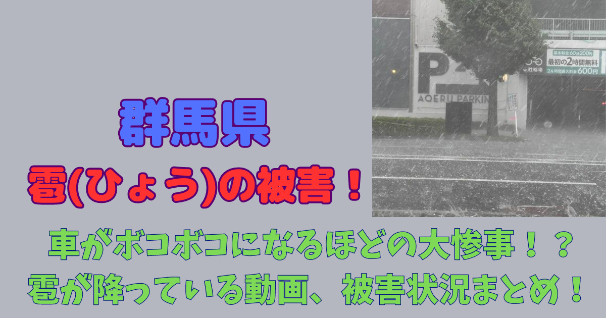 【動画】群馬県の雹(ひょう)被害がエグい!車がボコボコになる大惨事!?
